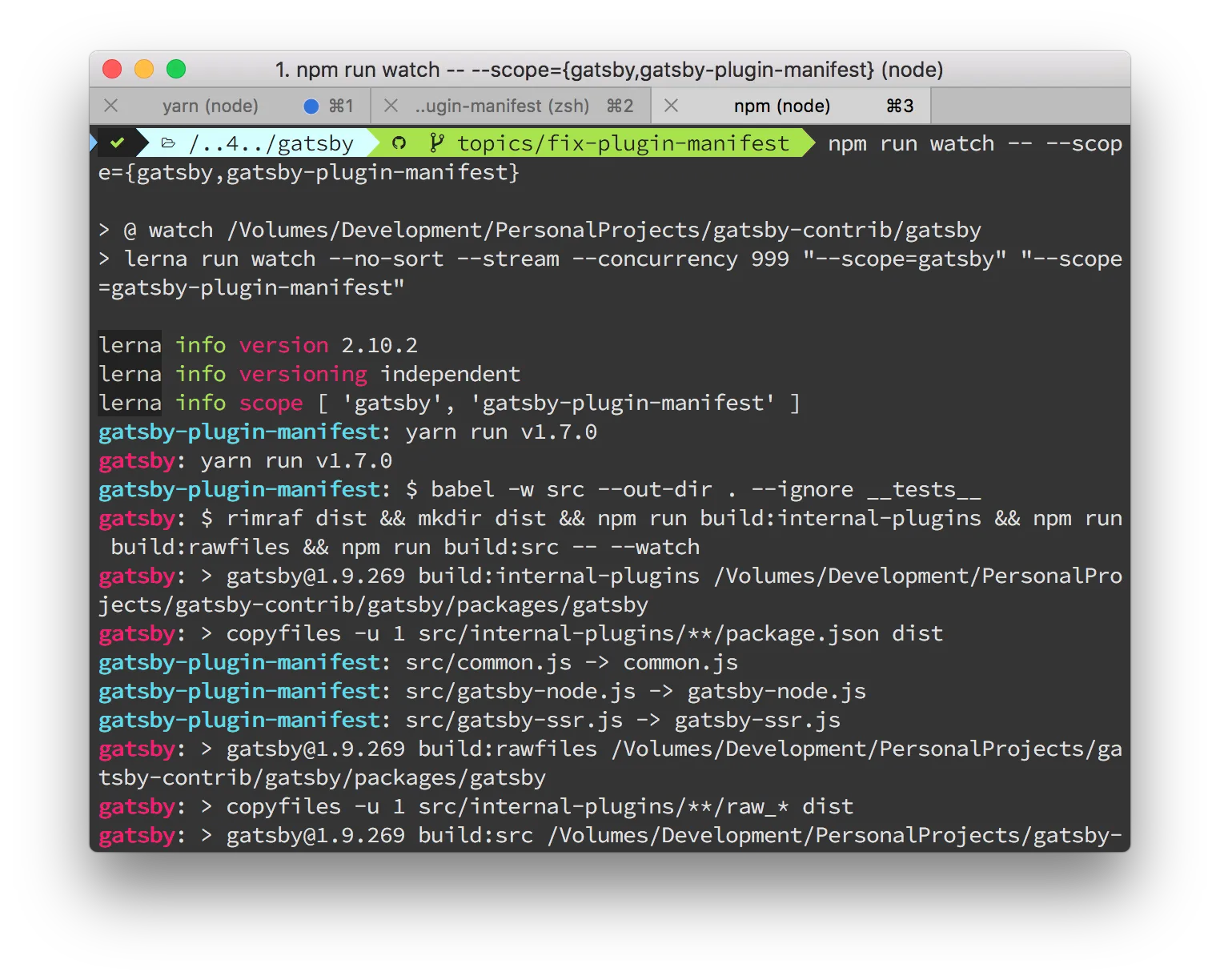 Npm Watch for Gatsby