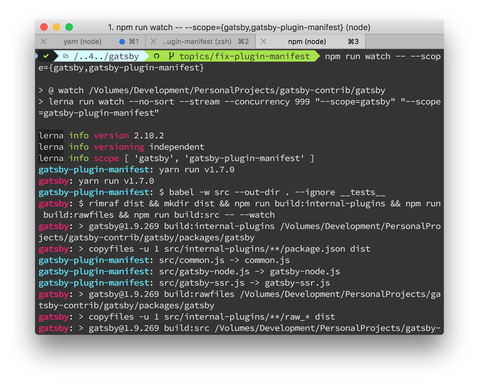 Npm Watch for Gatsby